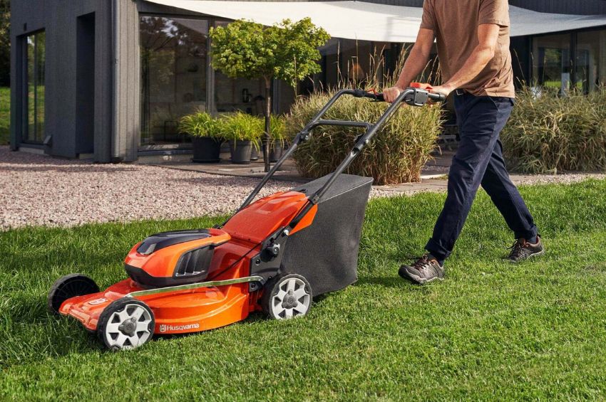 Torremotor bosqueyjardin Cuidado del césped